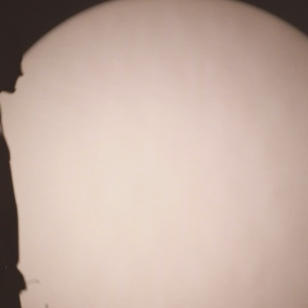 Rogue Solid Hoodie in Tan