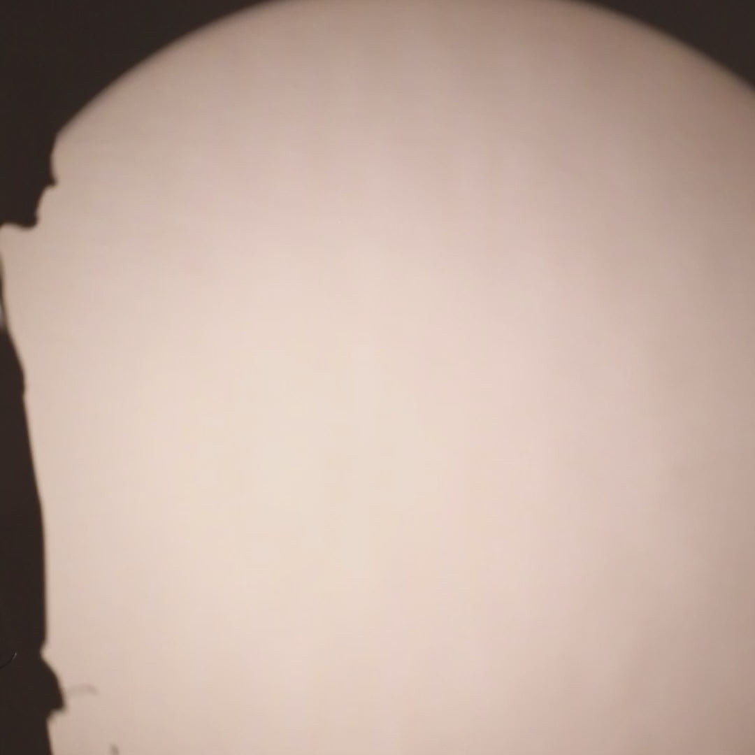 Rogue Solid Hoodie in Tan